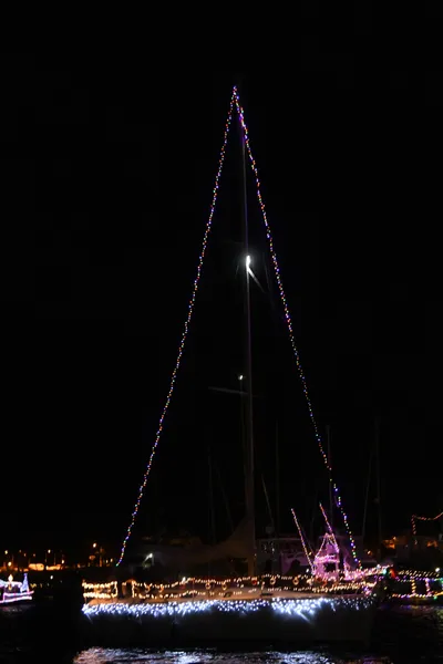 DSC_2532 (Large).JPG